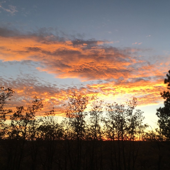 Meet your Posher, Samantha - Picture 1 of 1